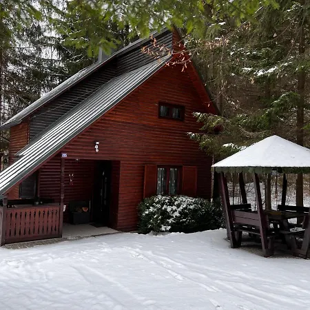 Adrienne Chalet Izvoru Mureşului